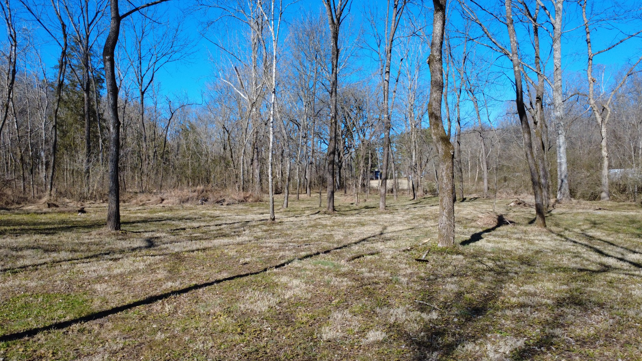 0 Carters Creek Pike Property Photo 20