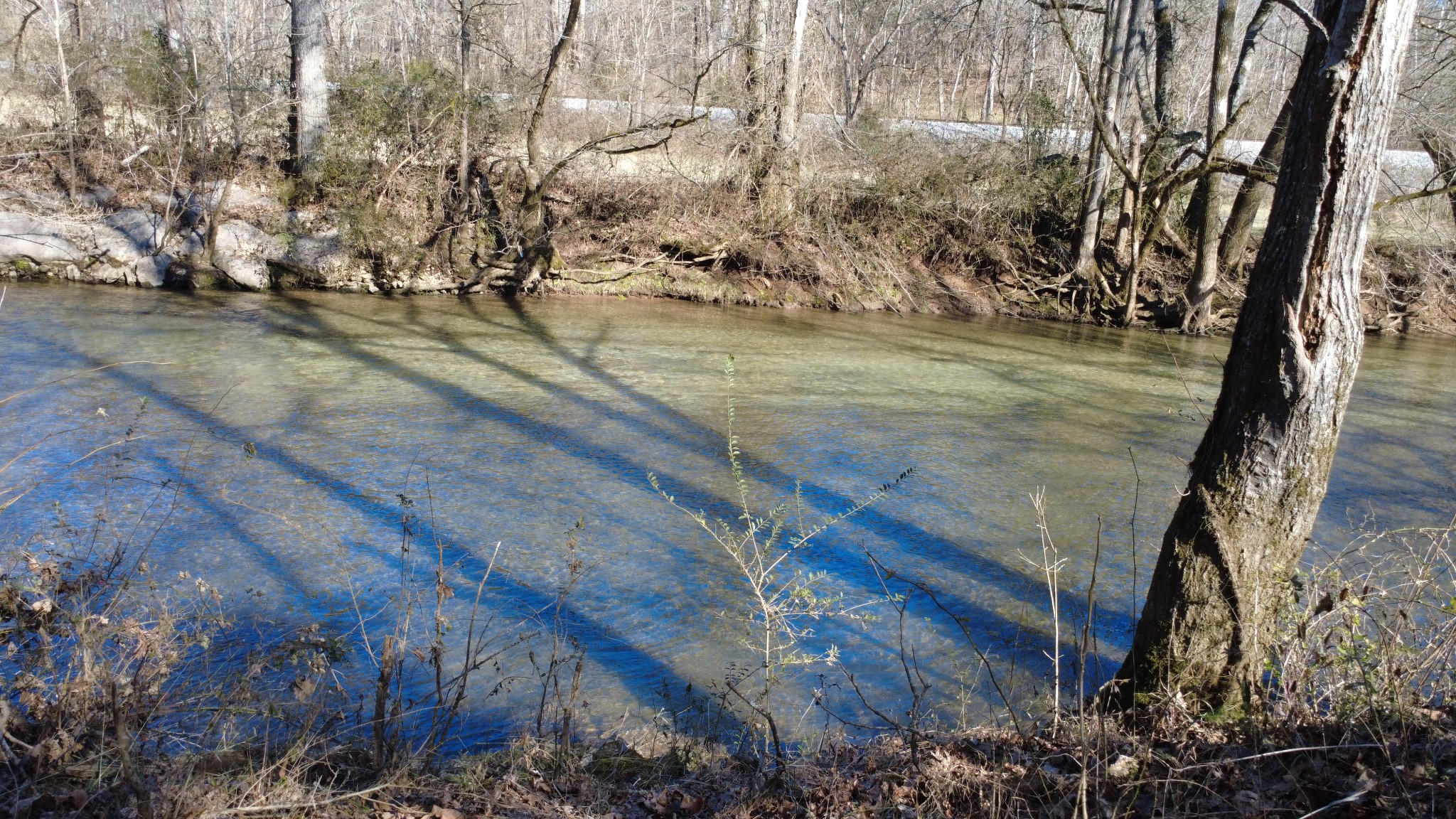 0 Carters Creek Pike Property Photo 22