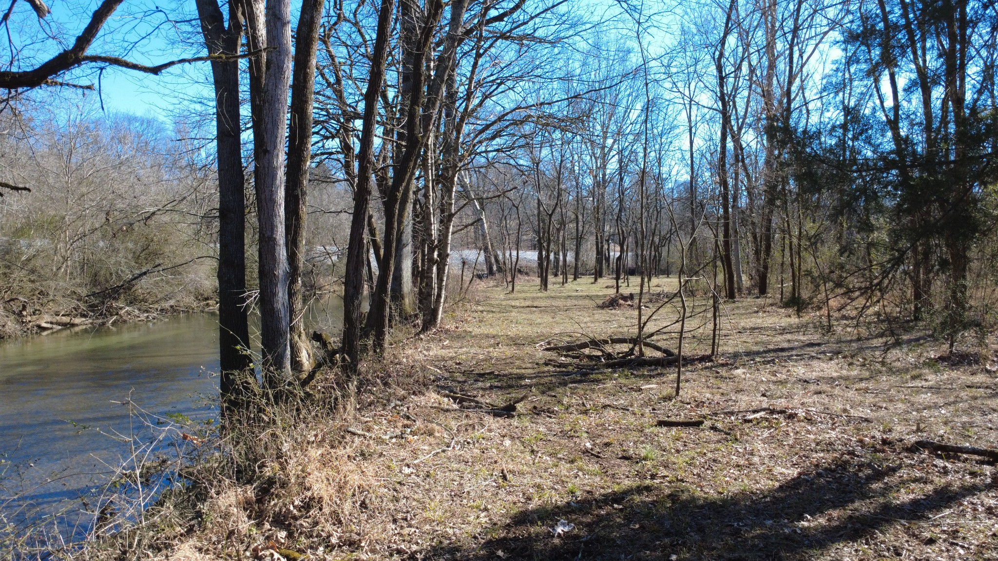 0 Carters Creek Pike Property Photo 23