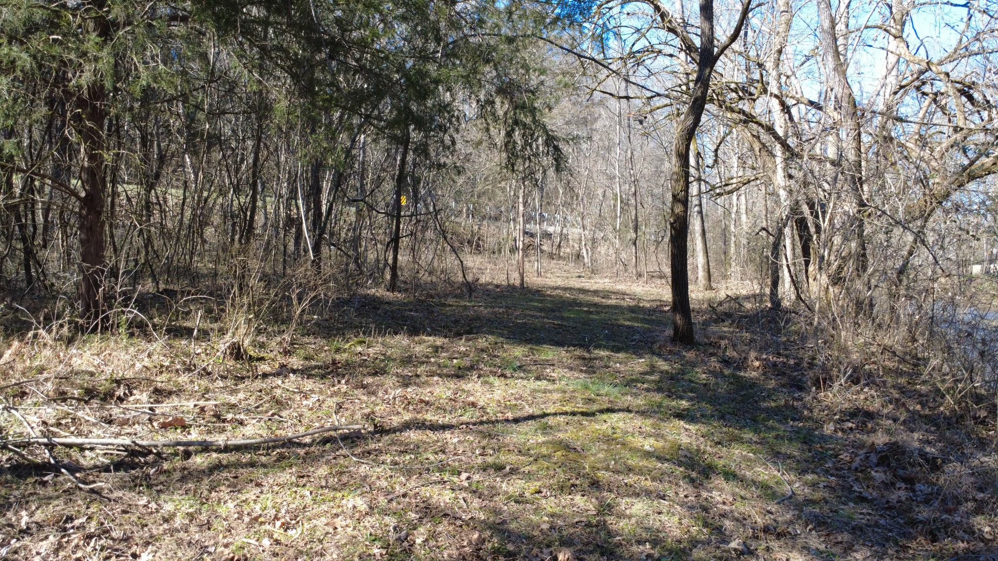 0 Carters Creek Pike Property Photo 24