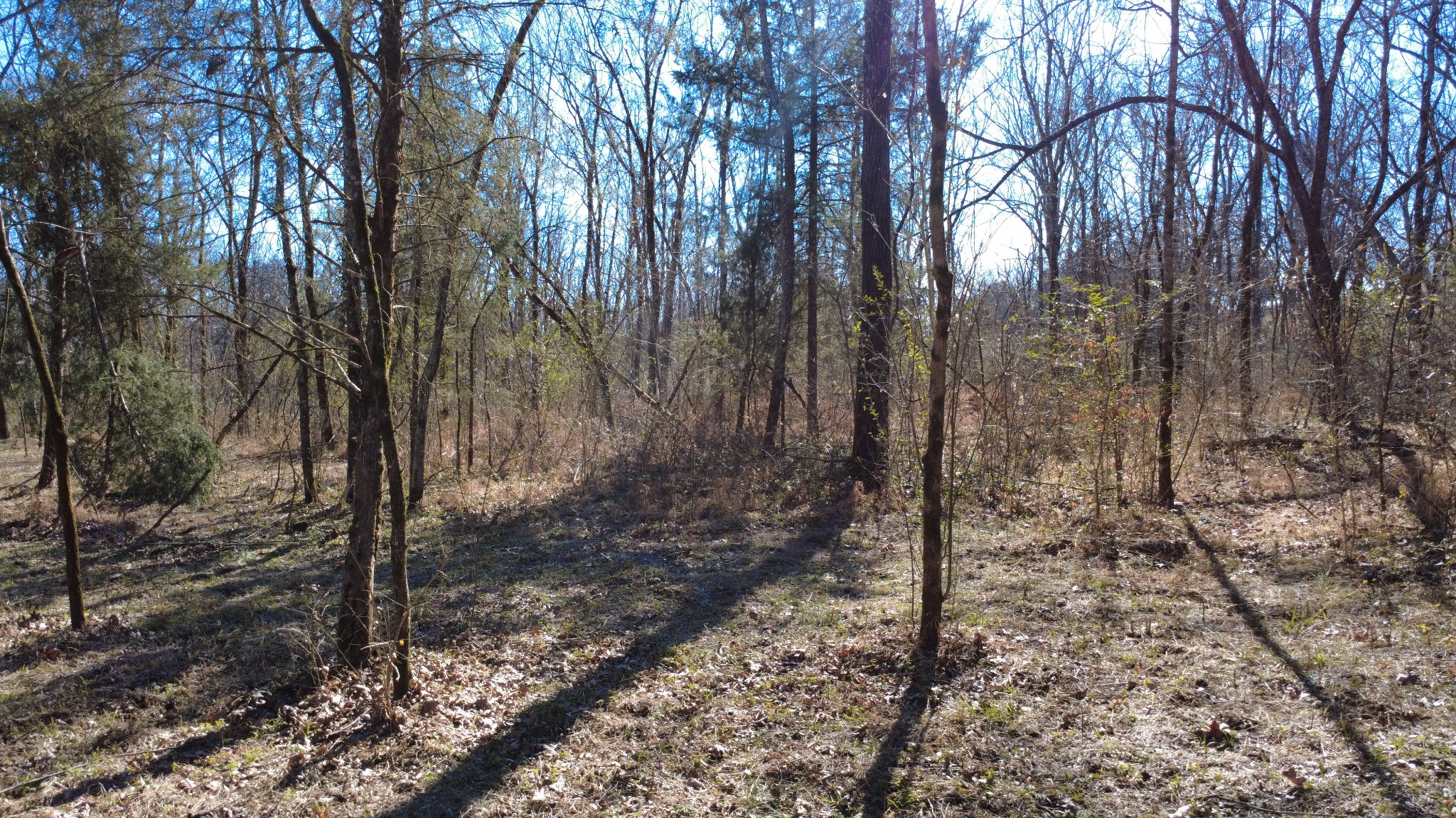 0 Carters Creek Pike Property Photo 25