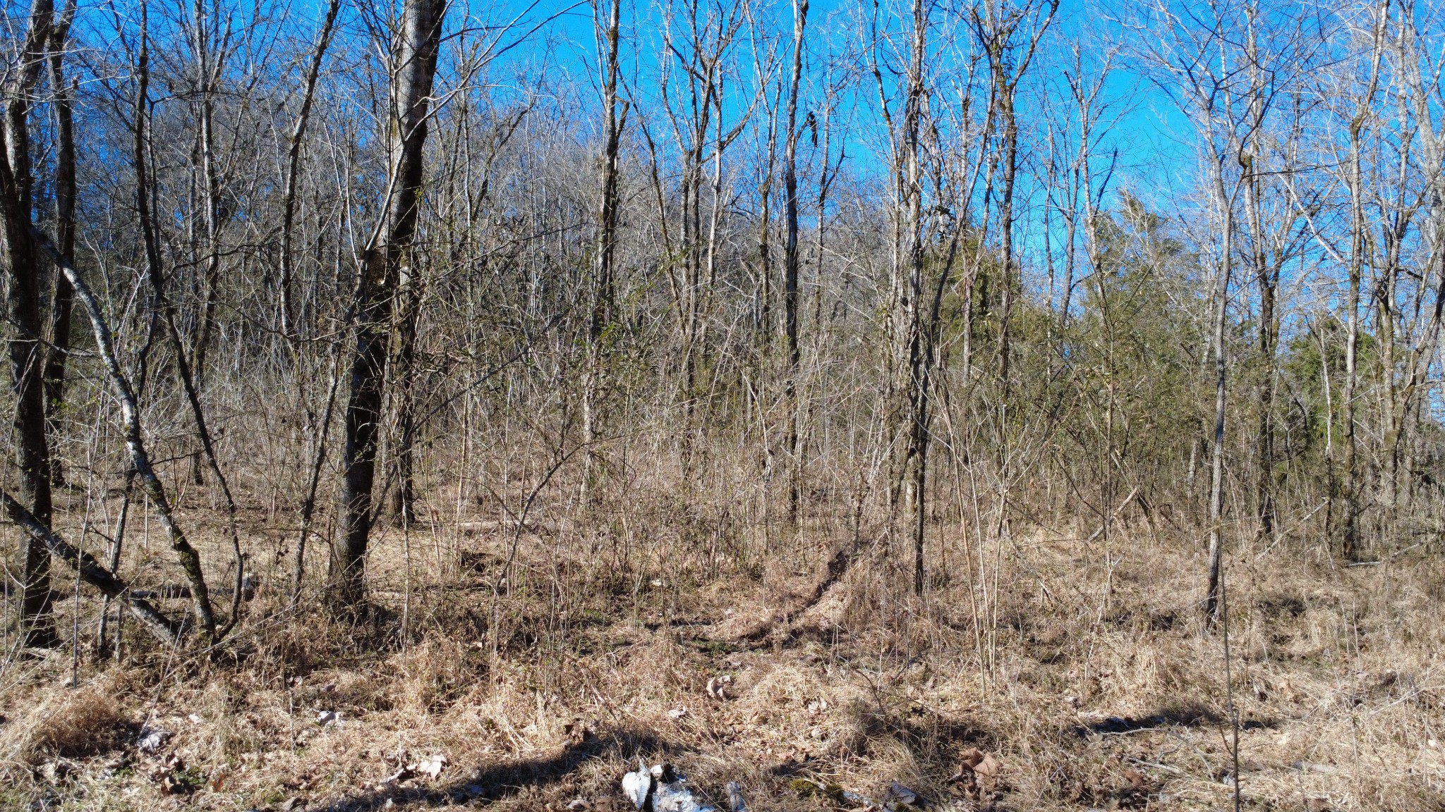 0 Carters Creek Pike Property Photo 26