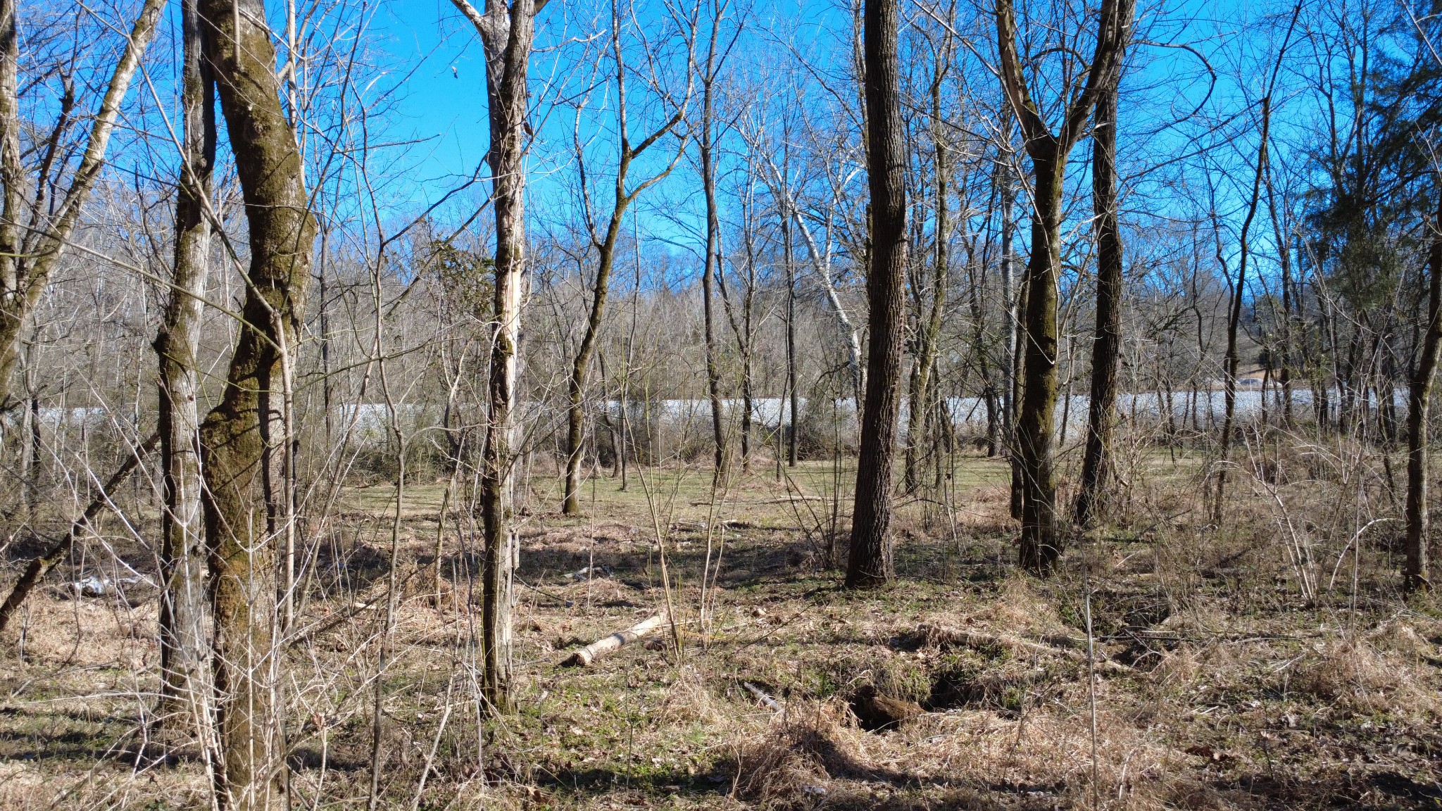 0 Carters Creek Pike Property Photo 27