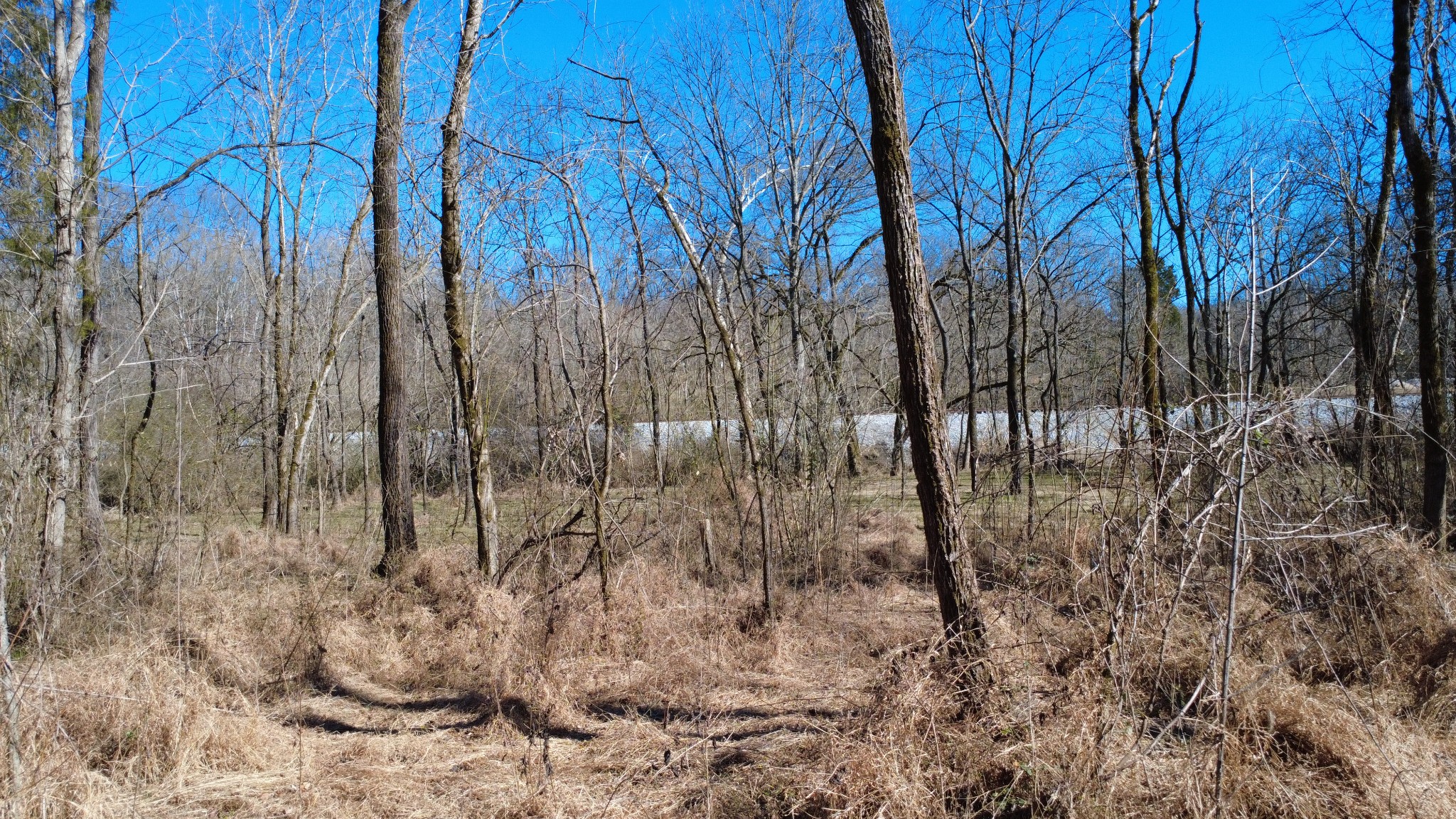 0 Carters Creek Pike Property Photo 28