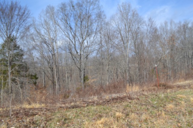 0 Hush Hollow Lane Property Photo 1