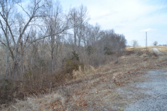 0 Hush Hollow Lane Property Photo 3