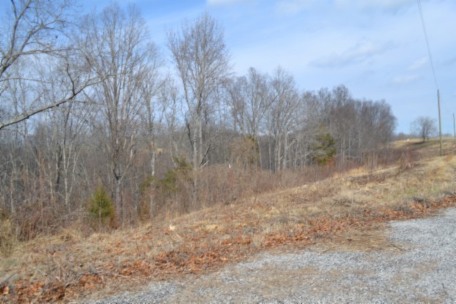 0 Hush Hollow Lane Property Photo 5