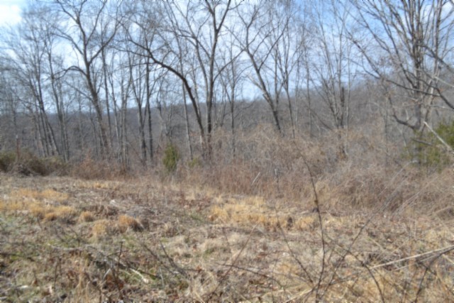 0 Hush Hollow Lane Property Photo 6