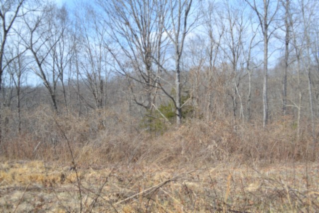 0 Hush Hollow Lane Property Photo 7