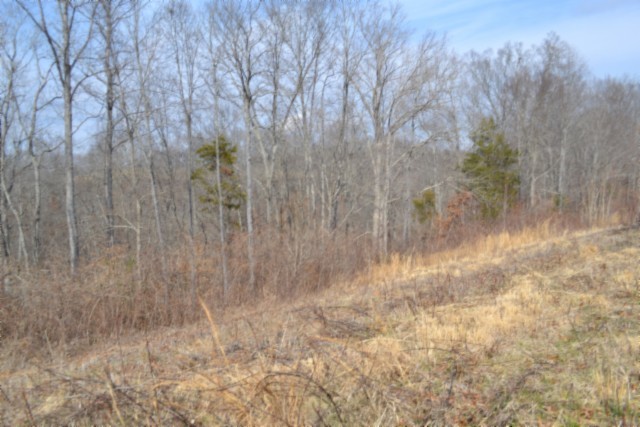 0 Hush Hollow Lane Property Photo 8