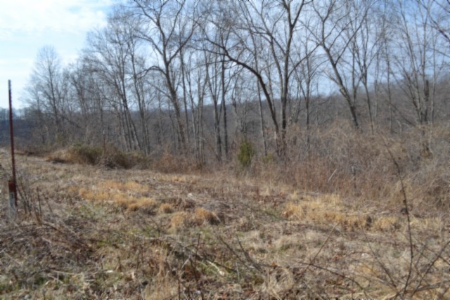 0 Hush Hollow Lane Property Photo 9