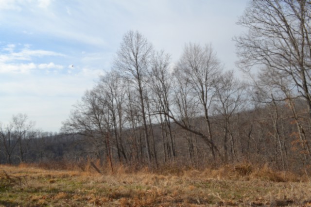 0 Hush Hollow Lane Property Photo 10