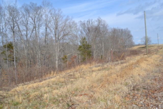 0 Hush Hollow Lane Property Photo 11