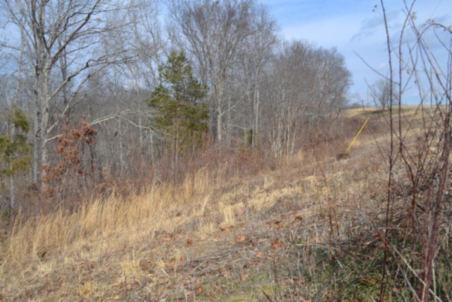 0 Hush Hollow Lane Property Photo 12