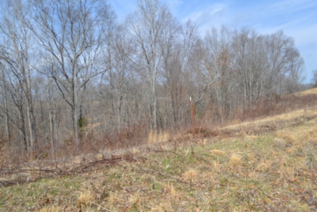 0 Hush Hollow Lane Property Photo 13