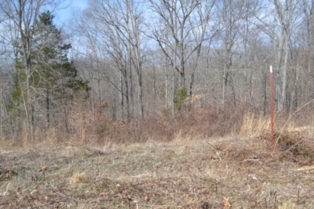 0 Hush Hollow Lane Property Photo 14