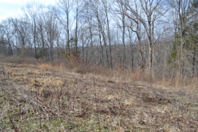 0 Hush Hollow Lane Property Photo 16
