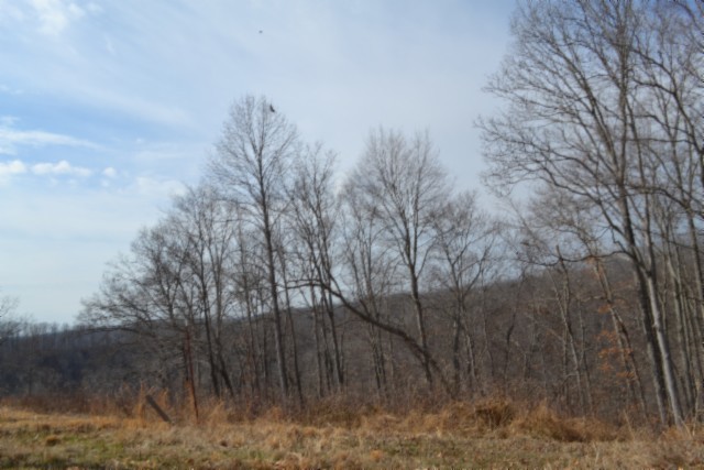 0 Hush Hollow Lane Property Photo 17