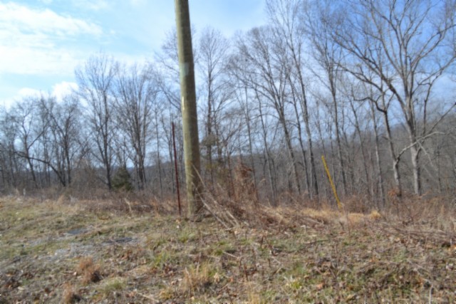 0 Hush Hollow Lane Property Photo 19