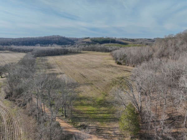 0 Tidwell Hollow Rd Property Photo 10