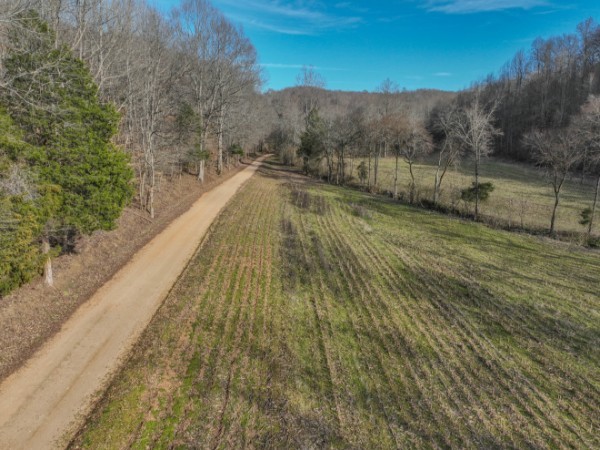 0 Tidwell Hollow Rd Property Photo 11