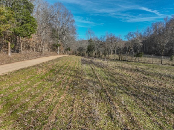 0 Tidwell Hollow Rd Property Photo 12
