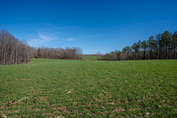 0 Tidwell Hollow Rd Property Photo 21