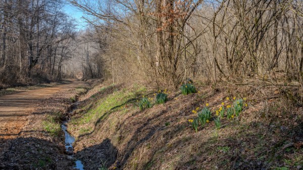 0 Tidwell Hollow Rd Property Photo 25