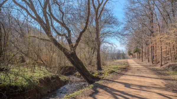 0 Tidwell Hollow Rd Property Photo 33