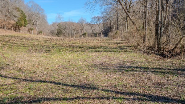 0 Tidwell Hollow Rd Property Photo 35