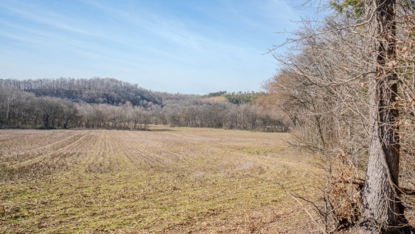 0 Tidwell Hollow Rd Property Photo 39