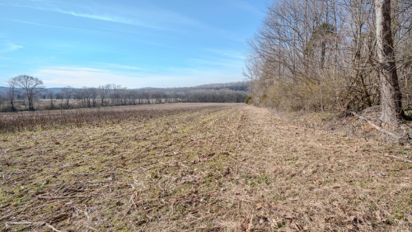 0 Tidwell Hollow Rd Property Photo 40