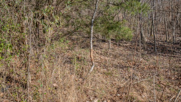 0 Tidwell Hollow Rd Property Photo 41