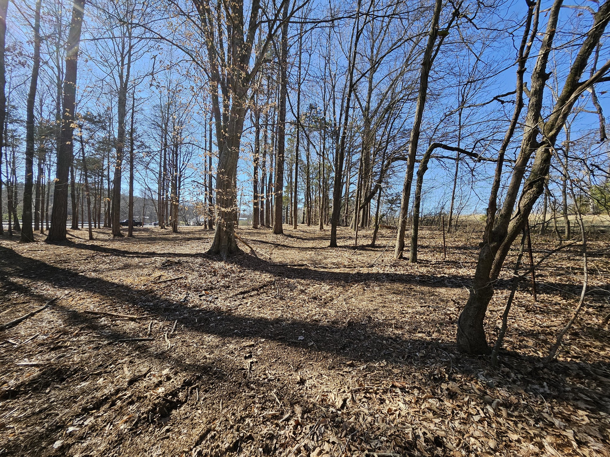 0 Hwy 70, S Property Photo 2