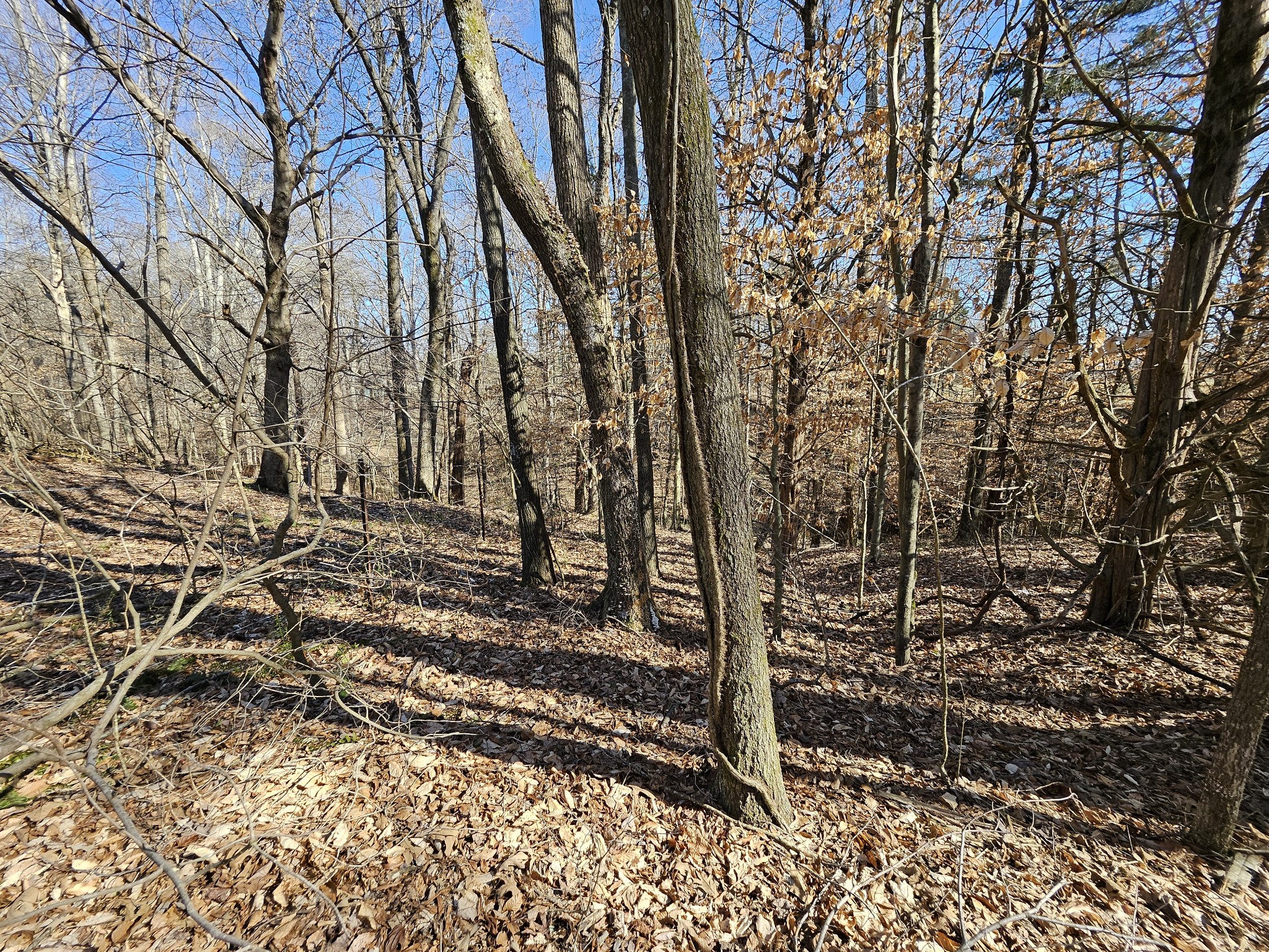 0 Hwy 70, S Property Photo 3