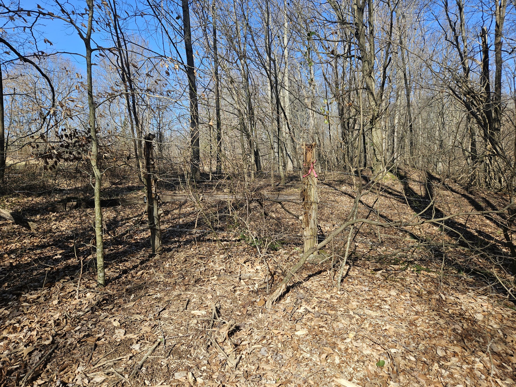 0 Hwy 70, S Property Photo 4