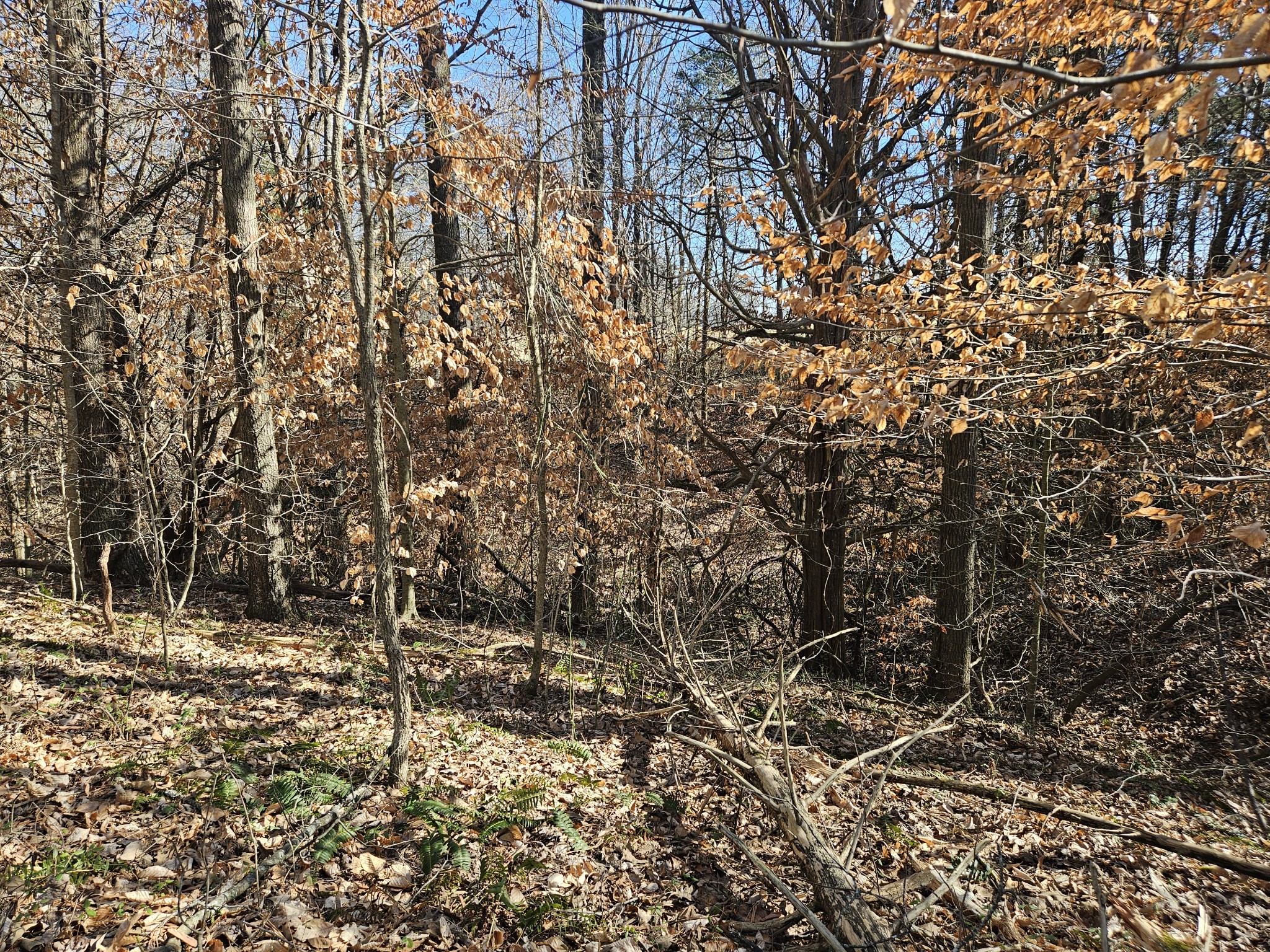 0 Hwy 70, S Property Photo 5