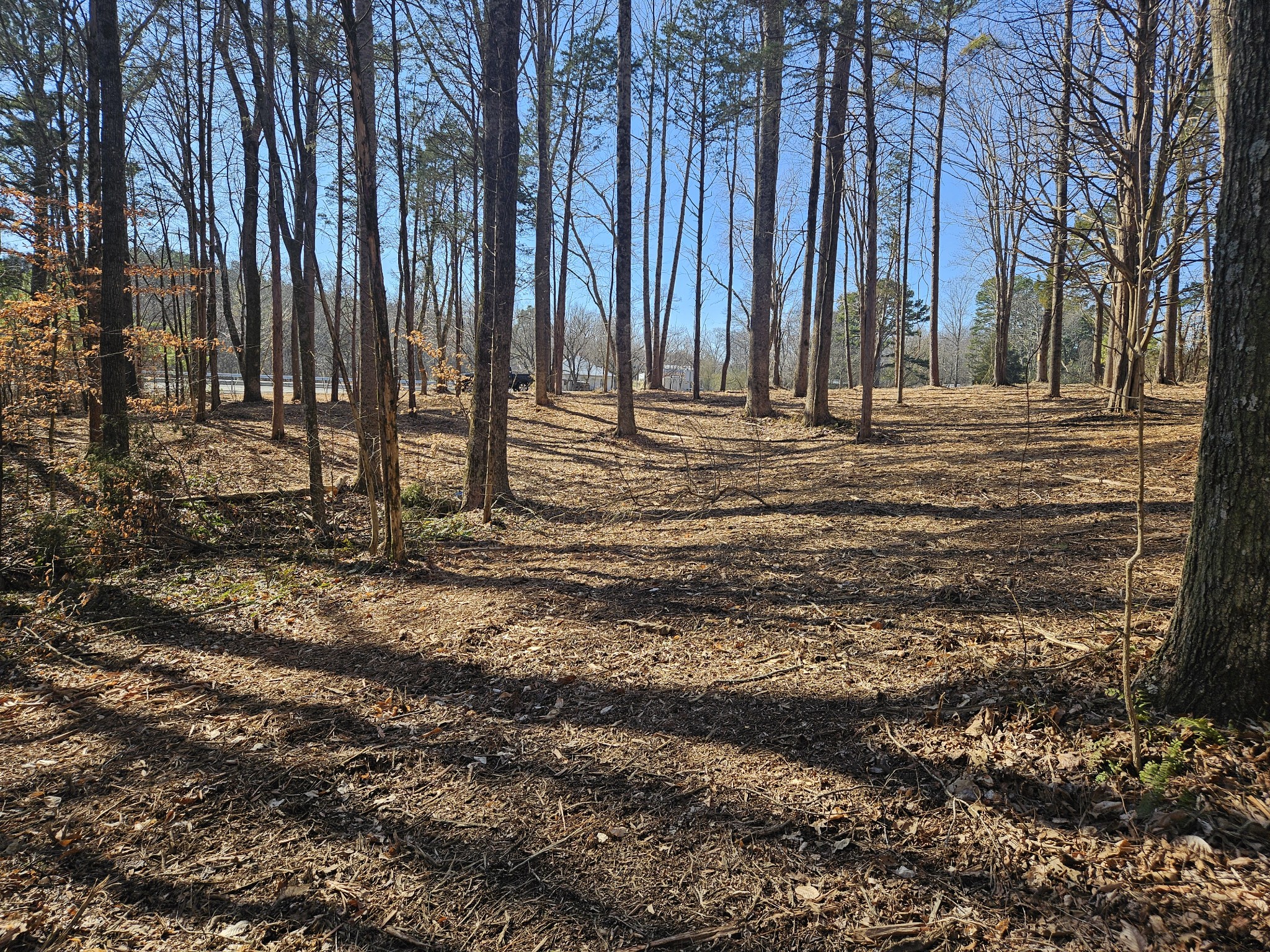0 Hwy 70, S Property Photo 6