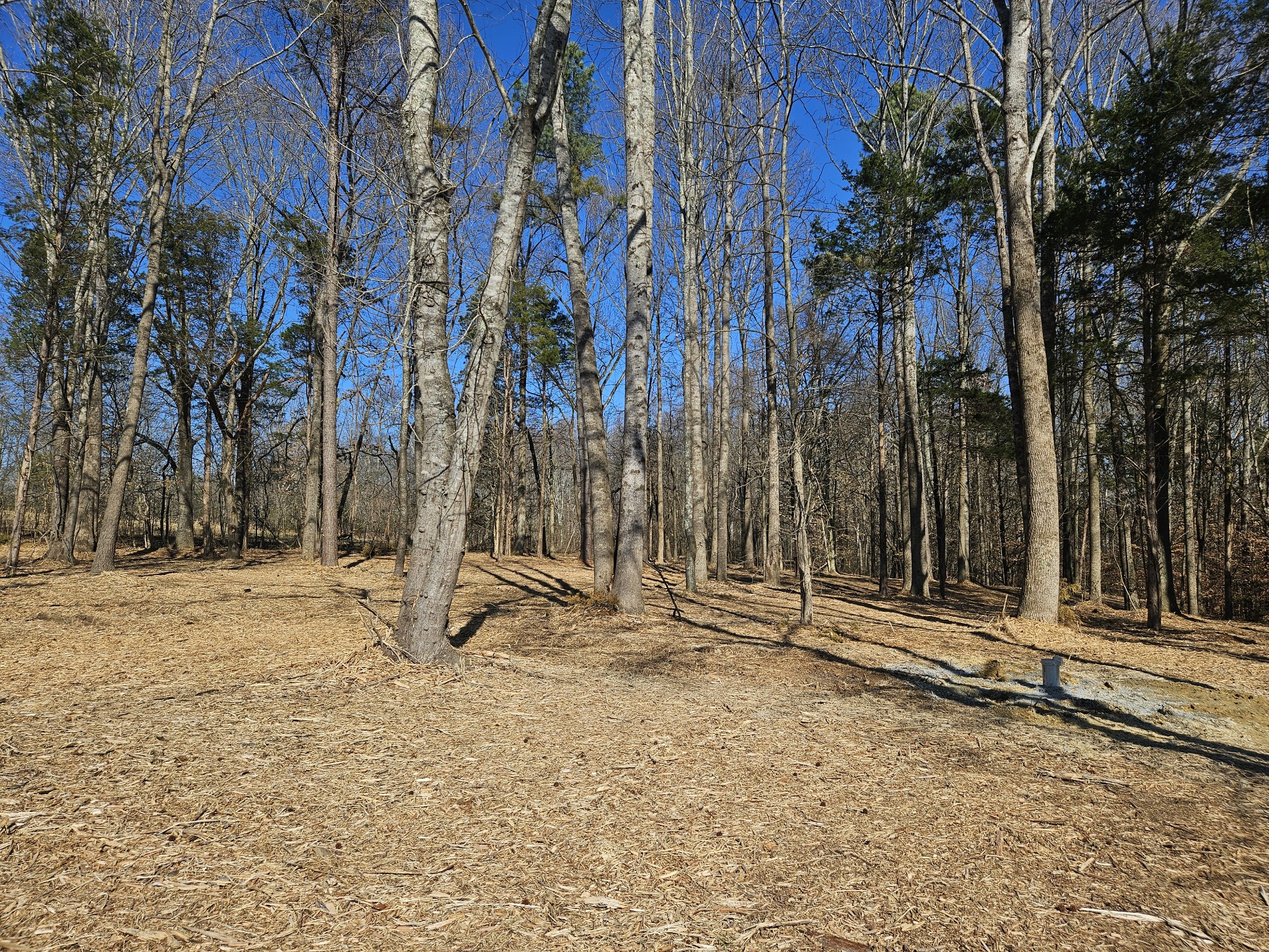 0 Hwy 70, S Property Photo 9