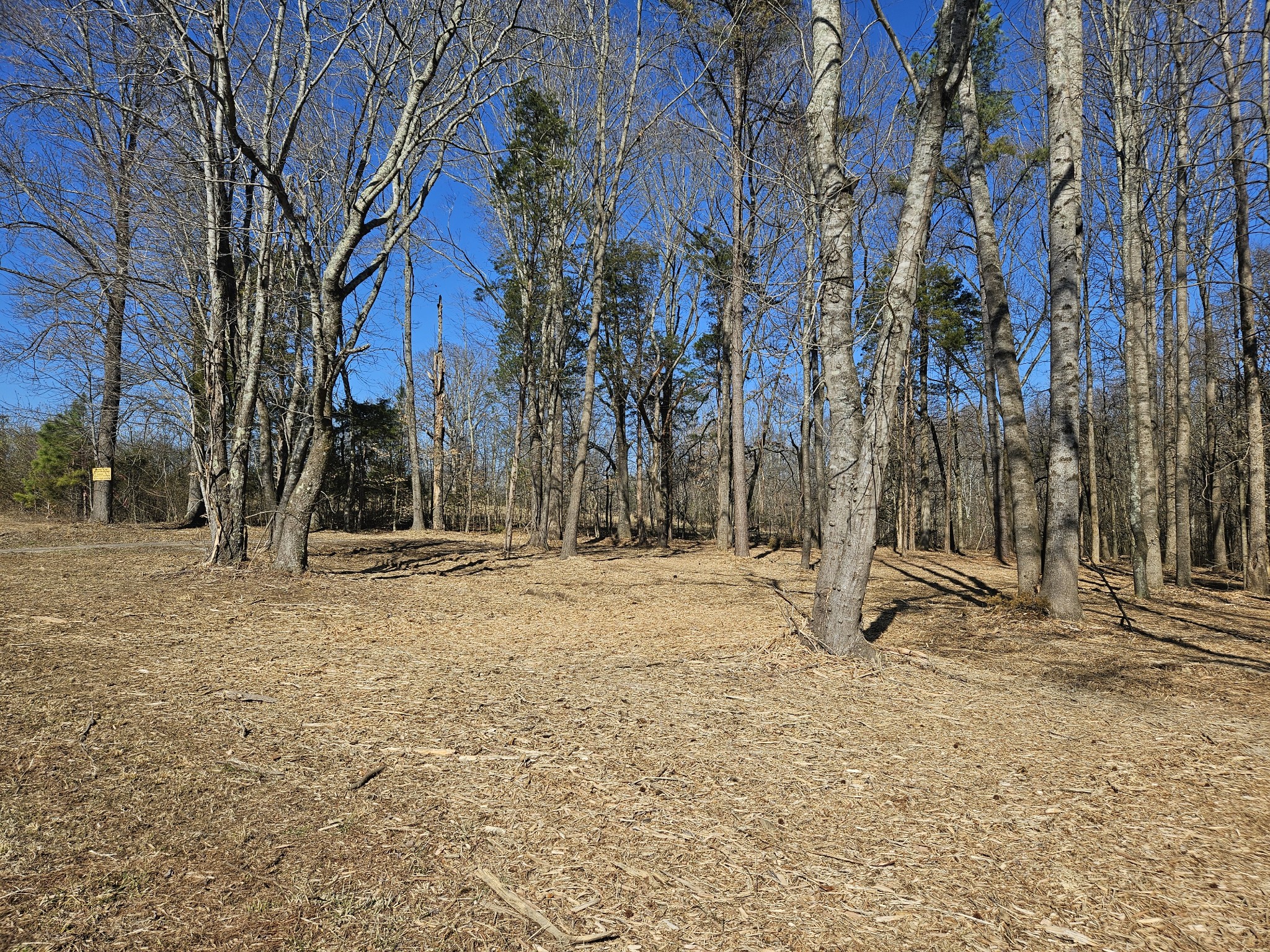 0 Hwy 70, S Property Photo 10