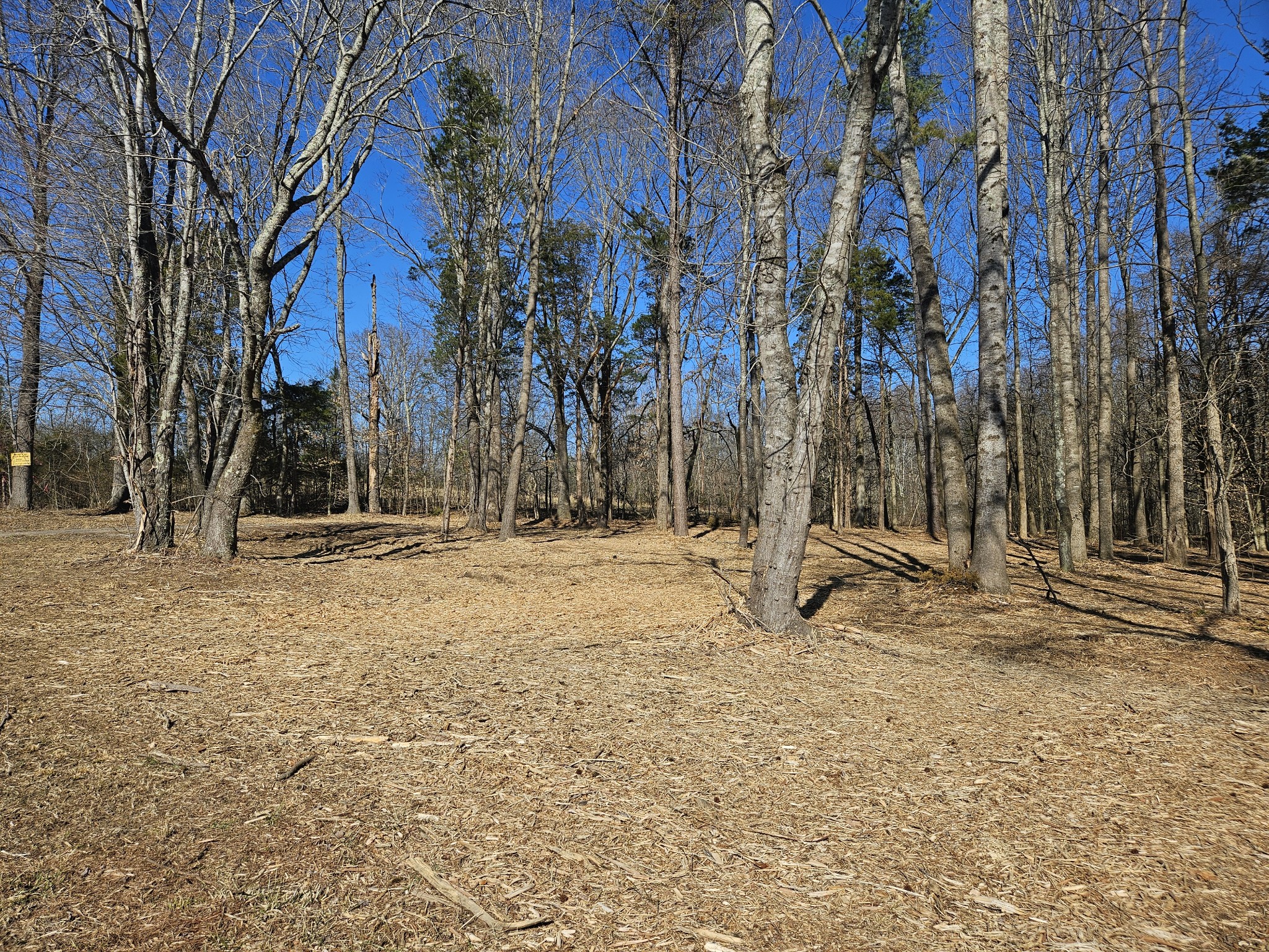 0 Hwy 70, S Property Photo 11