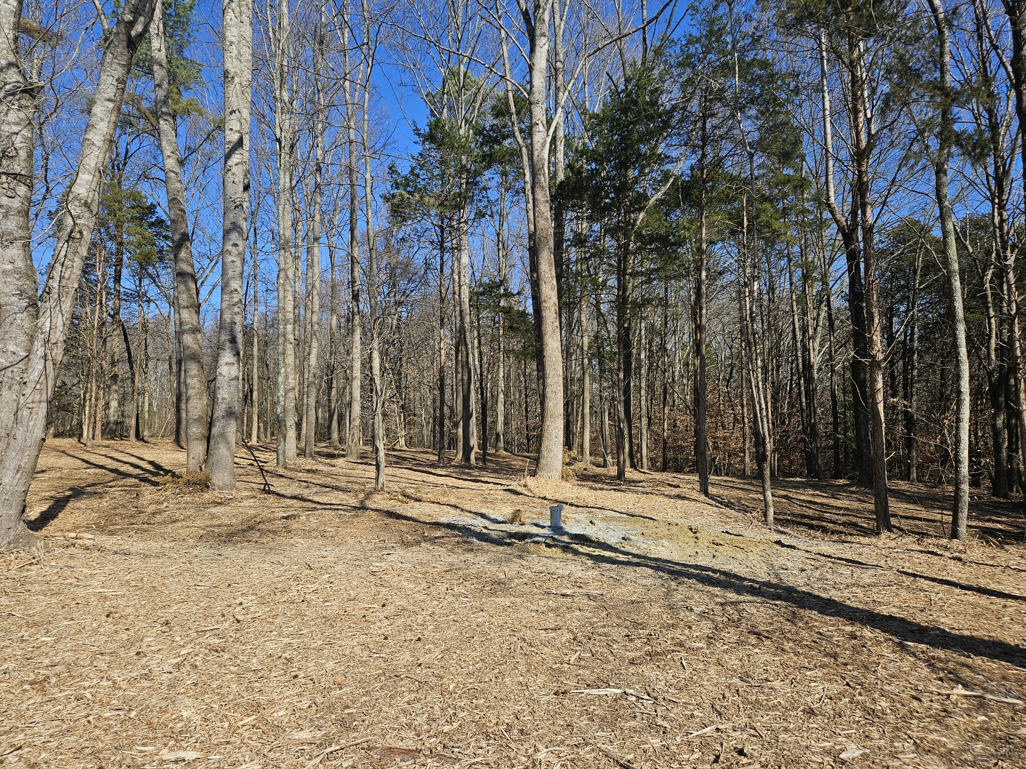 0 Hwy 70, S Property Photo 12
