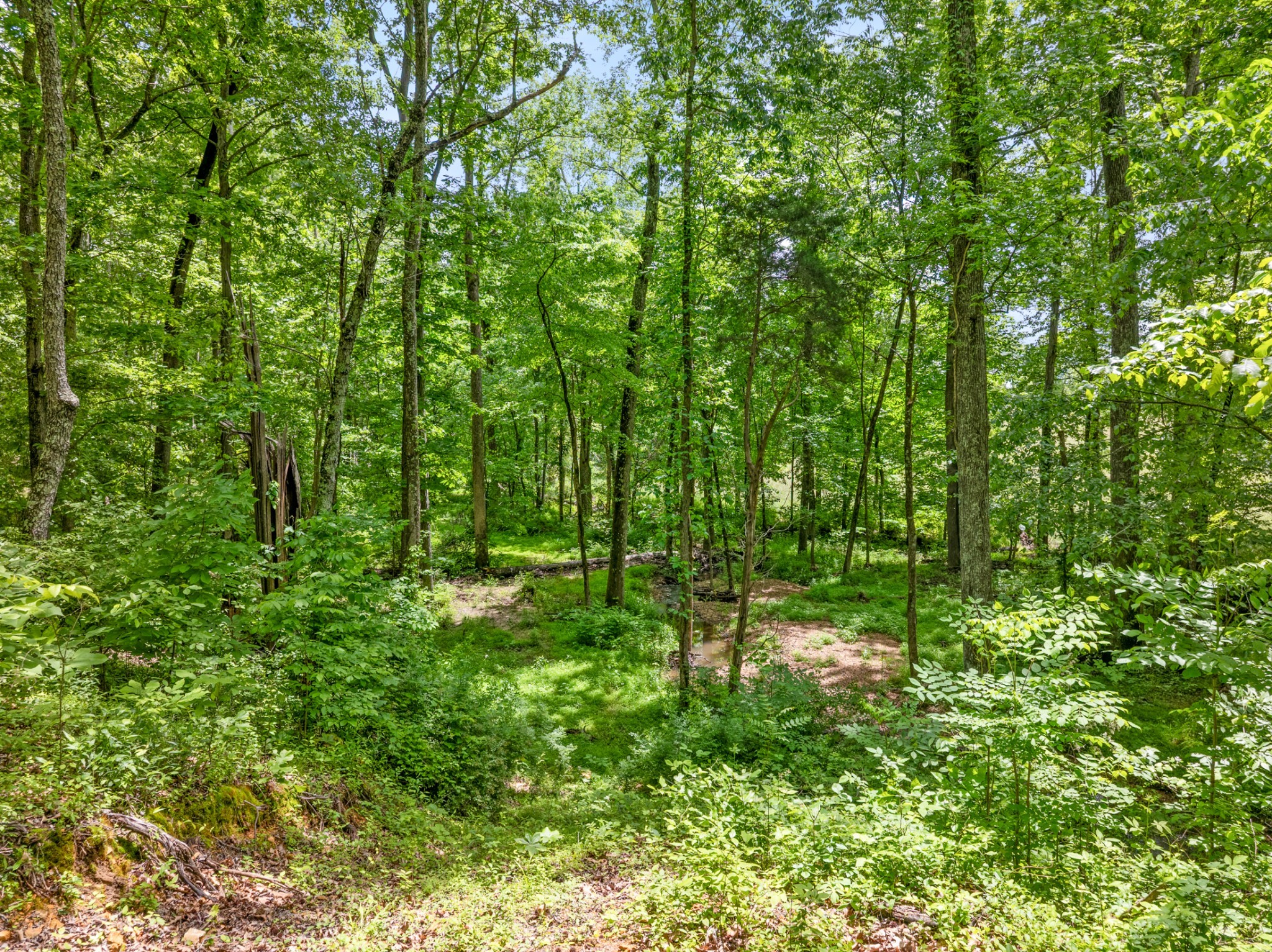 3791 Sylvia Rd Property Photo 82