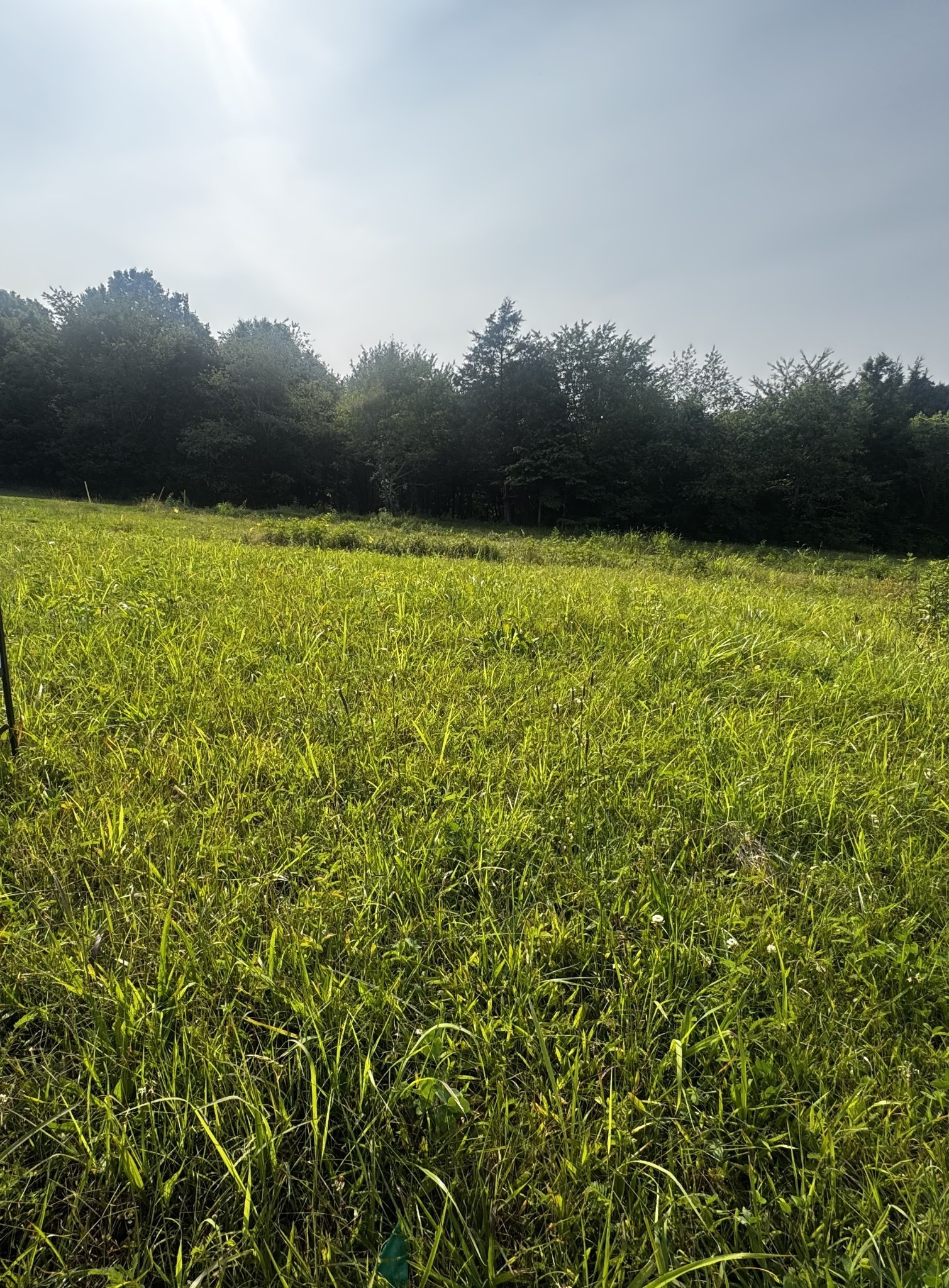 6481 Kelly Willis Rd Property Photo 1