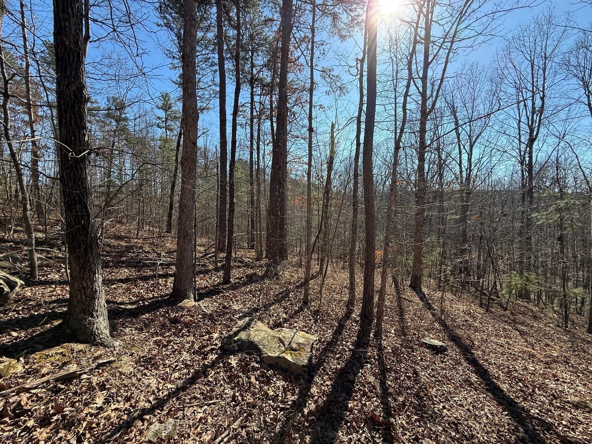 2 South Pittsburg Mtn Road Property Photo 1