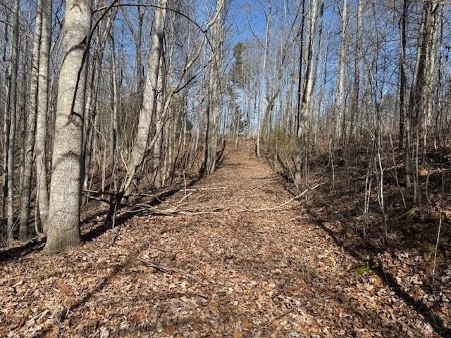 3 South Pittsburg Mountain Property Photo 1
