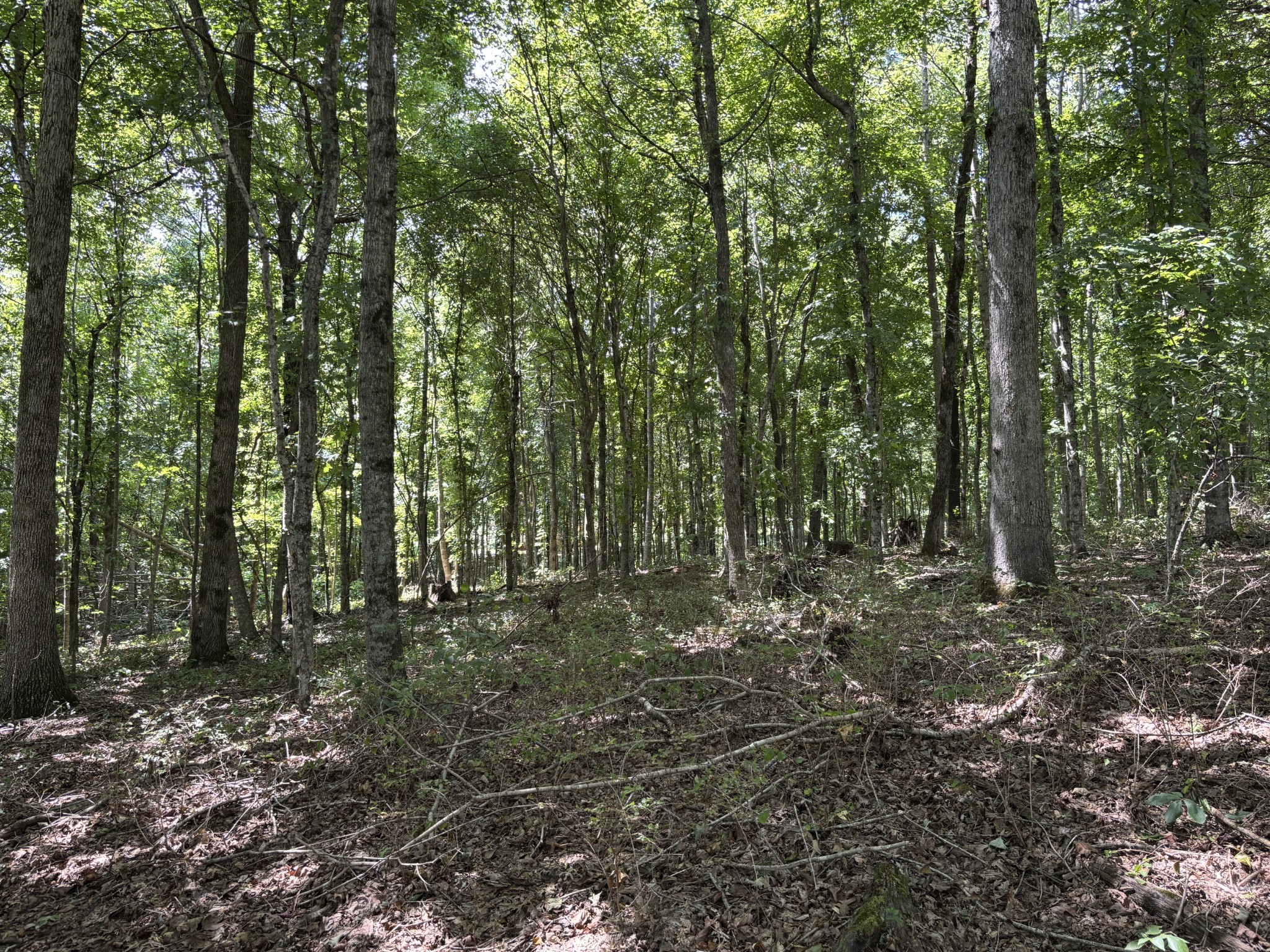 0 Middle Lick Creek Rd