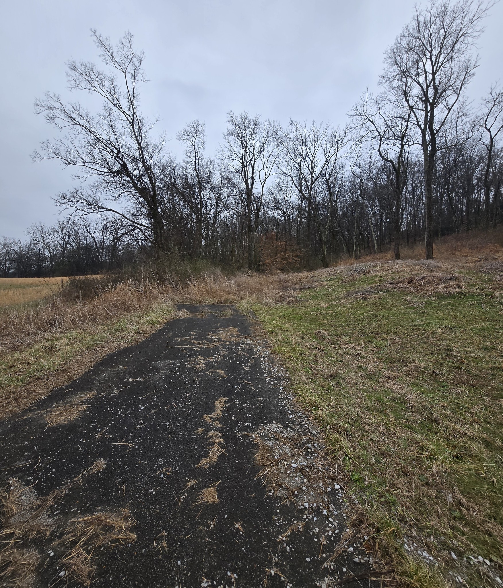 22241 Hwy 64 Property Photo 1
