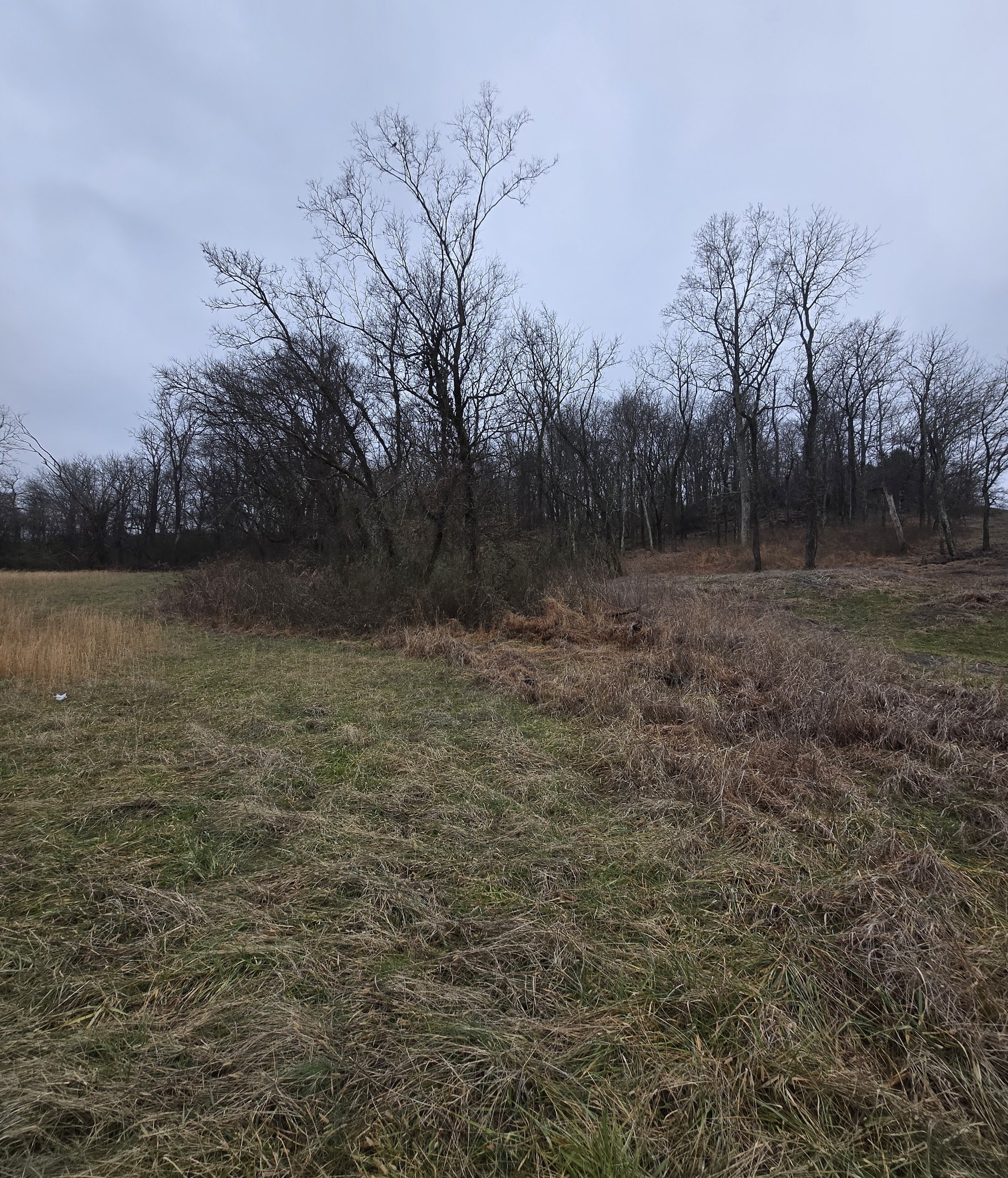 22241 Hwy 64 Property Photo 2