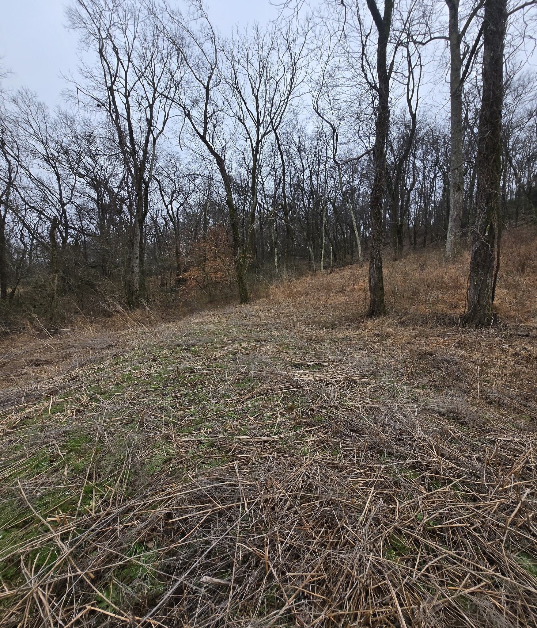 22241 Hwy 64 Property Photo 3